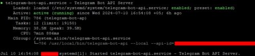 Статус сервиса Telegram Local Bot API